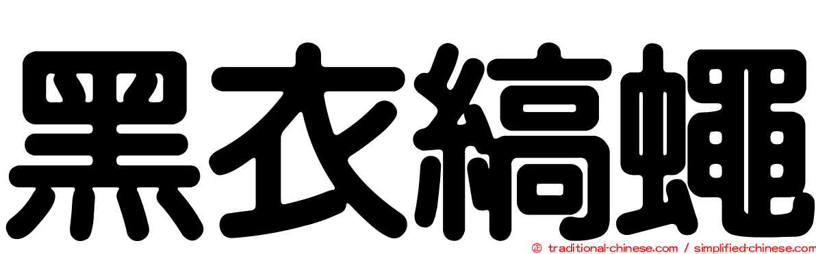 黑衣縞蠅