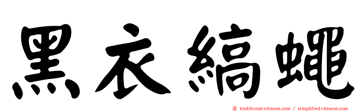 黑衣縞蠅