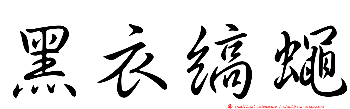 黑衣縞蠅