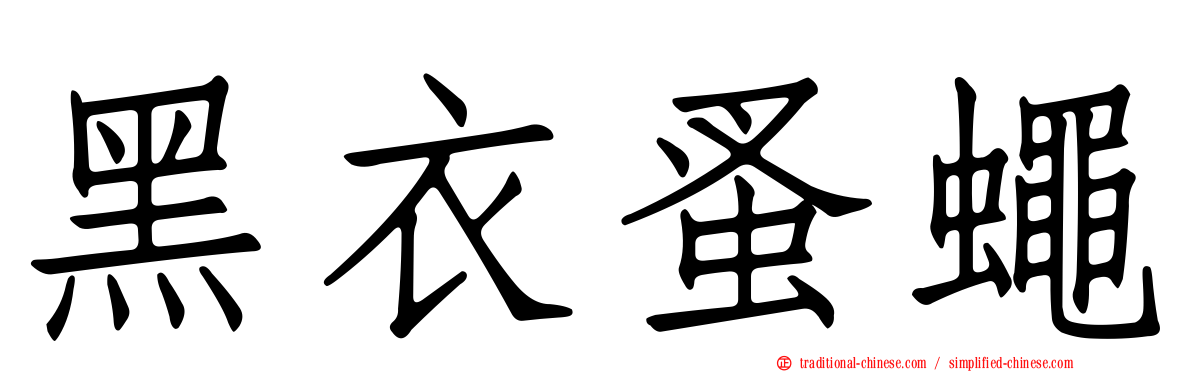 黑衣蚤蠅