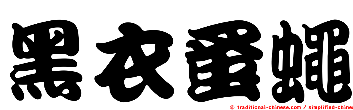 黑衣蚤蠅