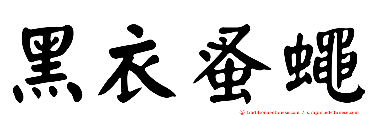 黑衣蚤蠅