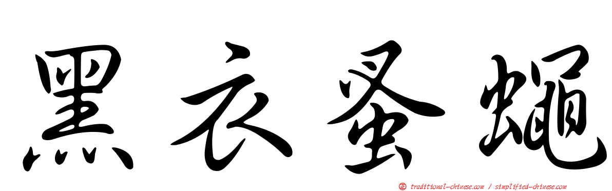 黑衣蚤蠅