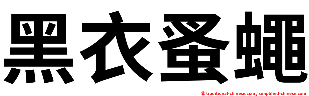 黑衣蚤蠅