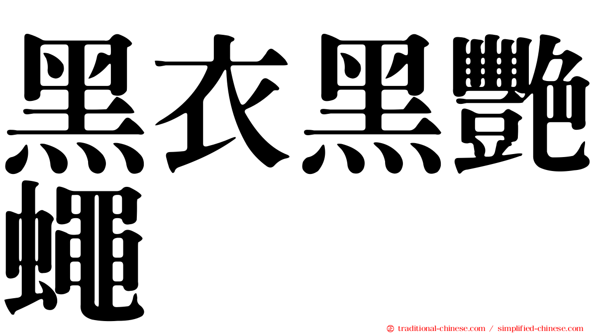 黑衣黑艷蠅