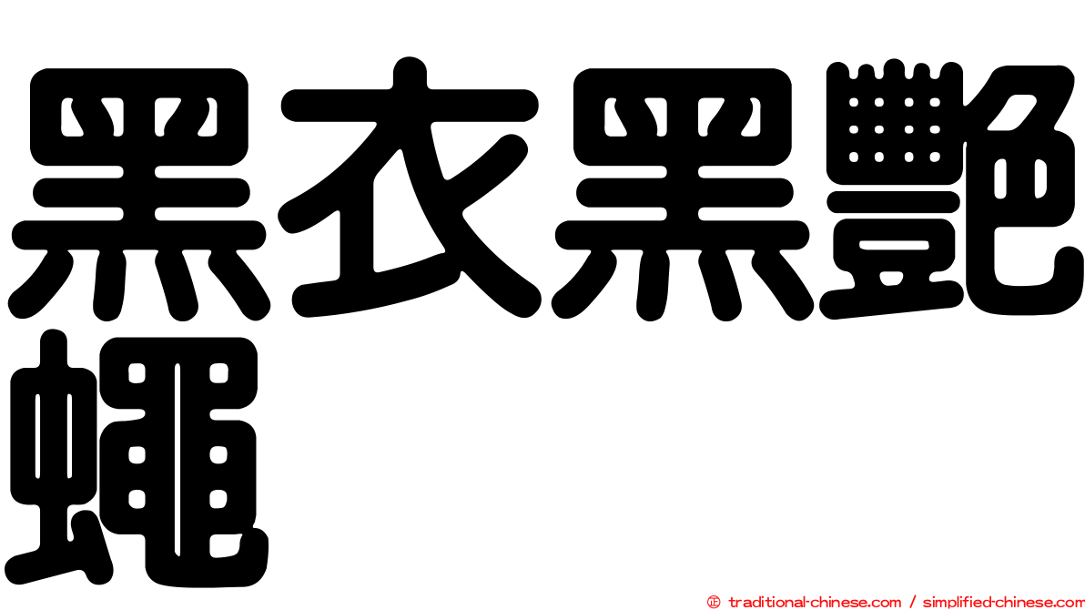 黑衣黑艷蠅