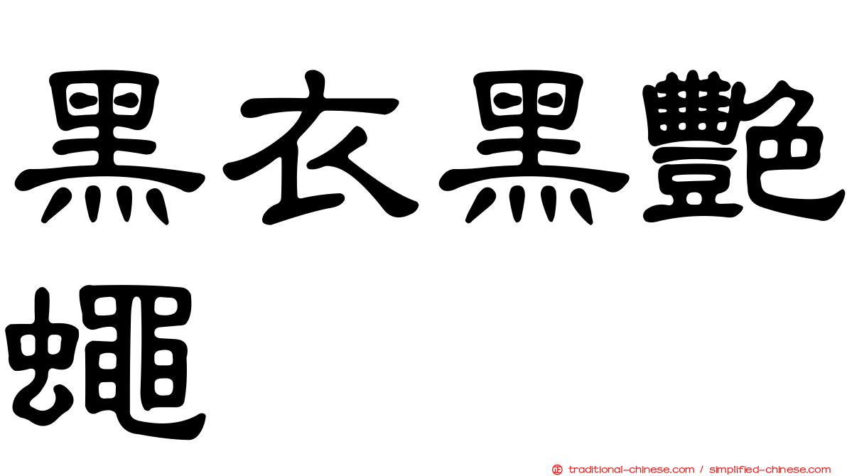 黑衣黑艷蠅