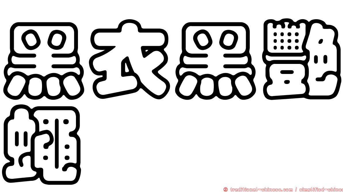 黑衣黑艷蠅