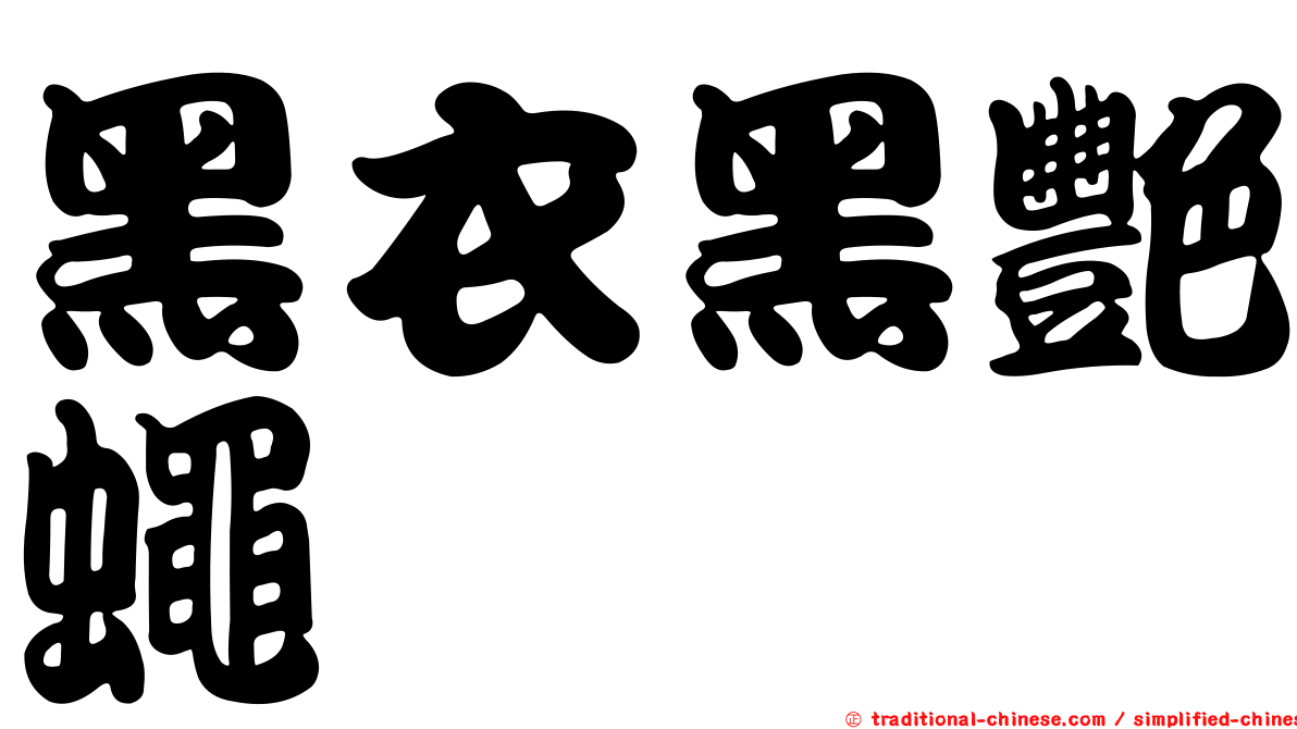 黑衣黑艷蠅