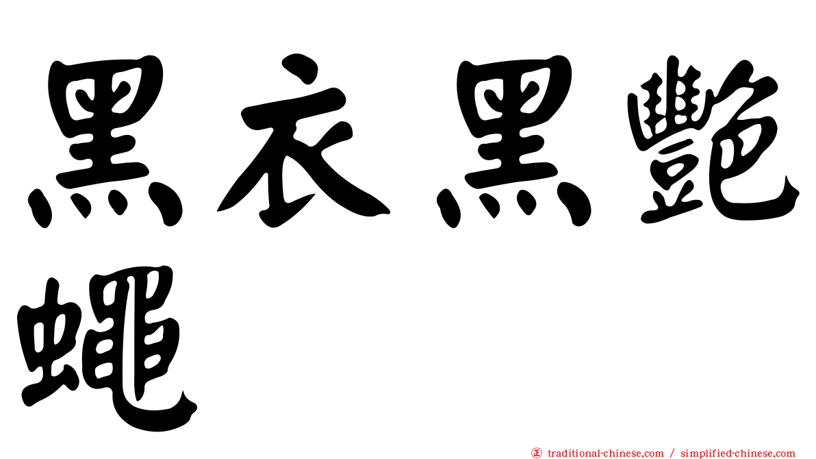 黑衣黑艷蠅