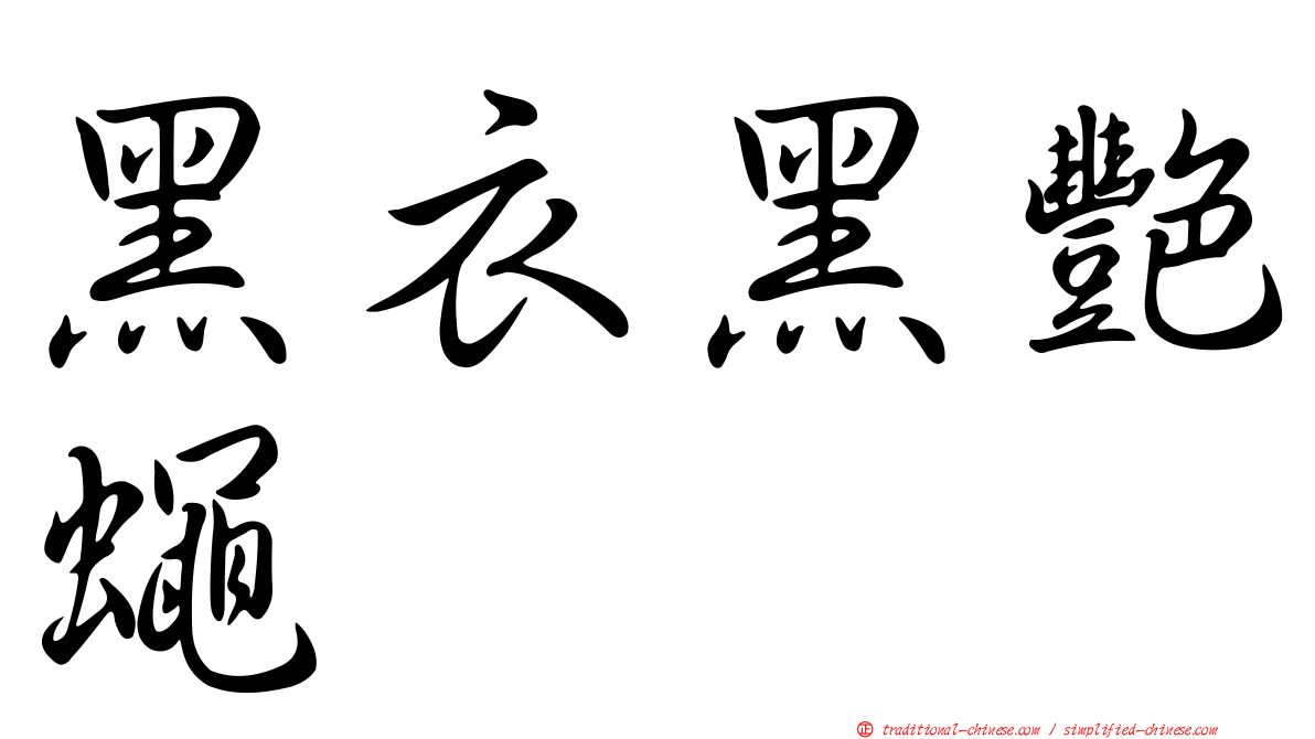 黑衣黑艷蠅