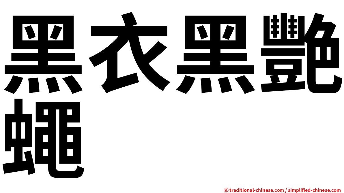 黑衣黑艷蠅