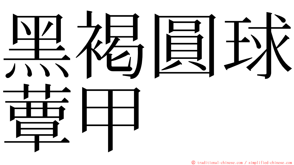 黑褐圓球蕈甲 ming font
