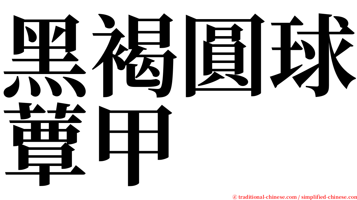黑褐圓球蕈甲 serif font