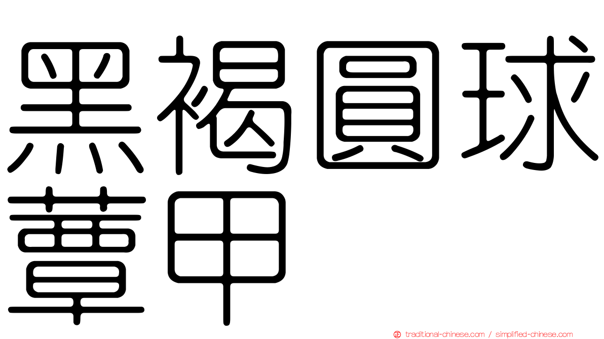 黑褐圓球蕈甲