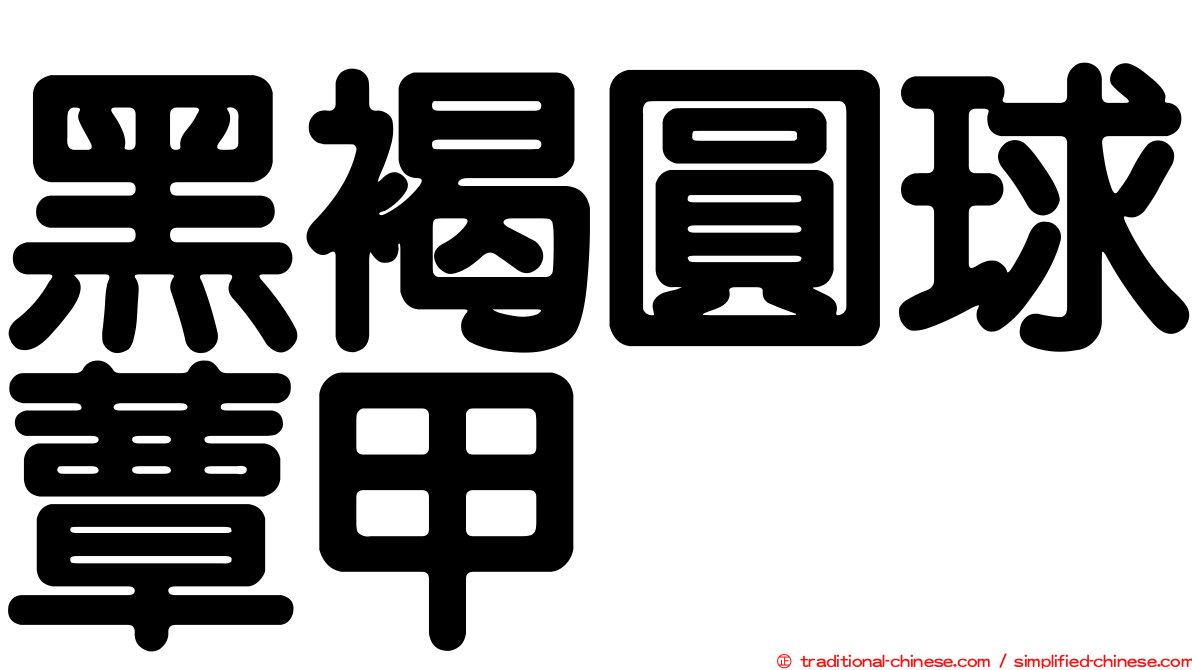 黑褐圓球蕈甲