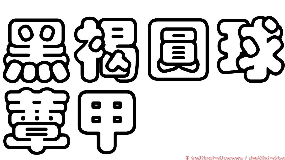 黑褐圓球蕈甲
