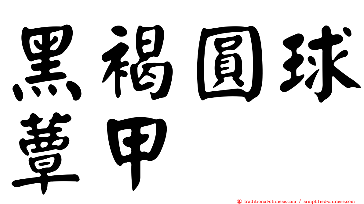 黑褐圓球蕈甲