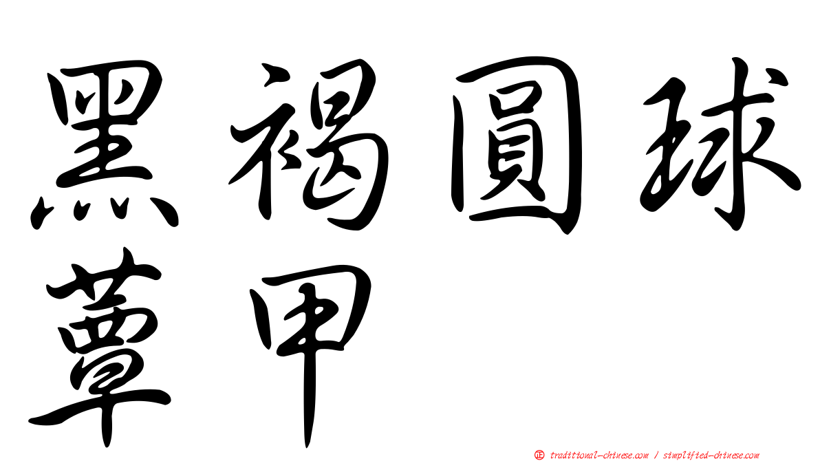 黑褐圓球蕈甲