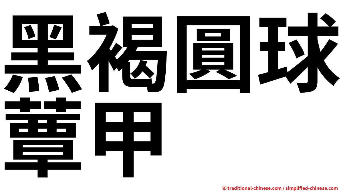 黑褐圓球蕈甲