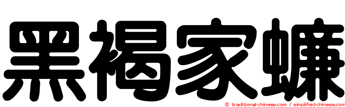 黑褐家蠊