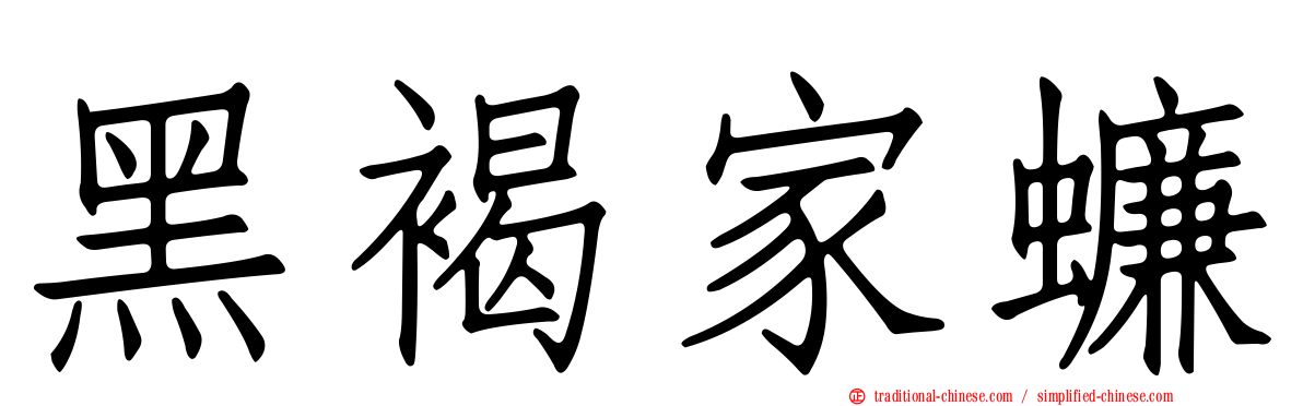 黑褐家蠊