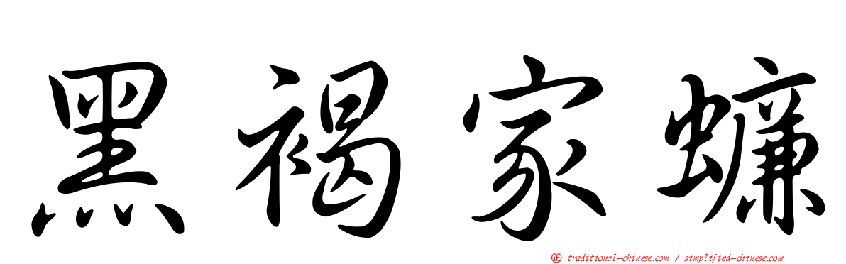 黑褐家蠊