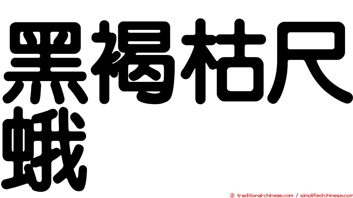 黑褐枯尺蛾