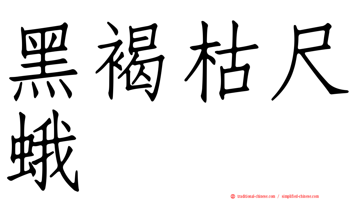 黑褐枯尺蛾