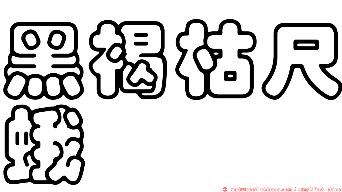 黑褐枯尺蛾
