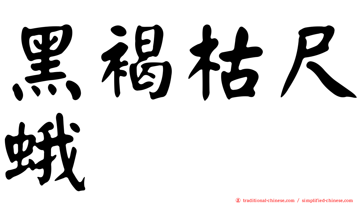 黑褐枯尺蛾