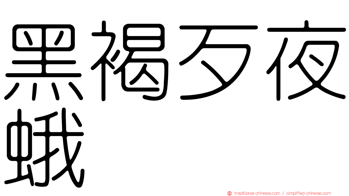 黑褐歹夜蛾