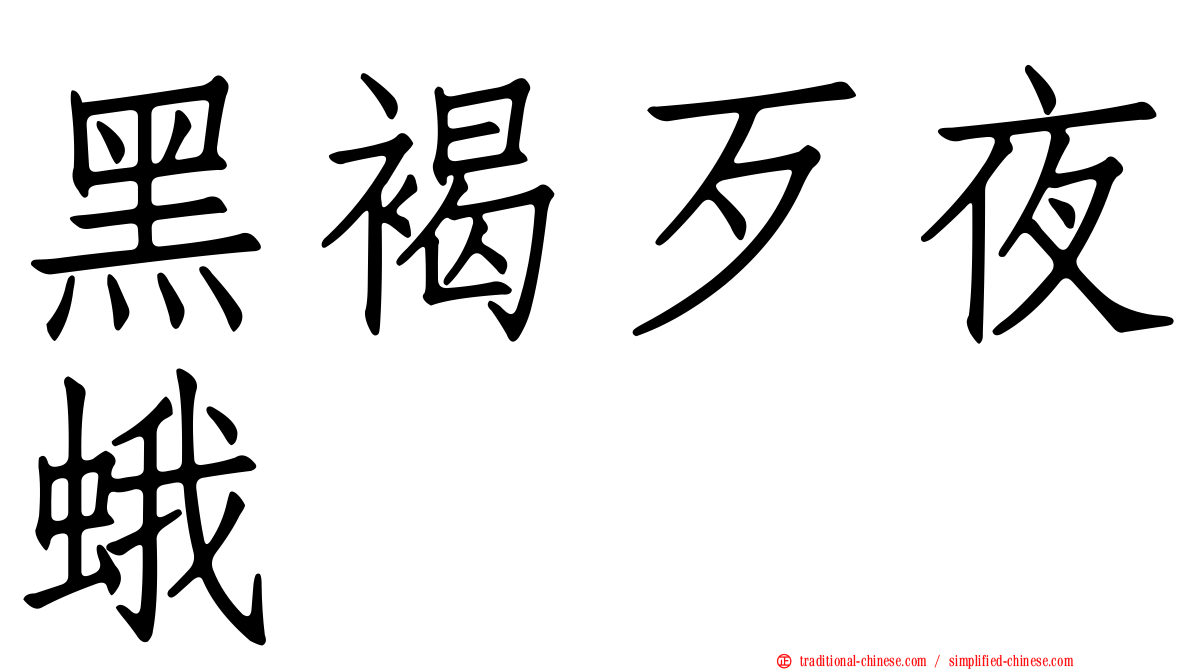 黑褐歹夜蛾