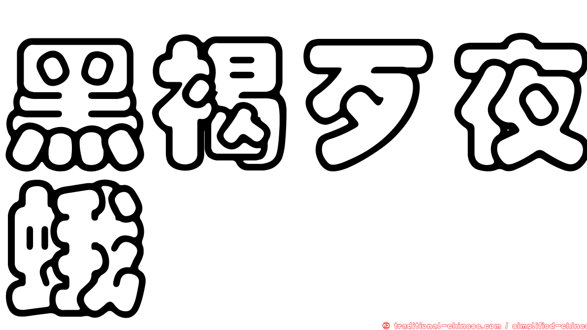 黑褐歹夜蛾