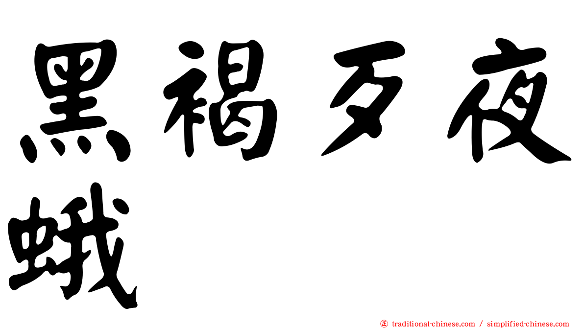 黑褐歹夜蛾