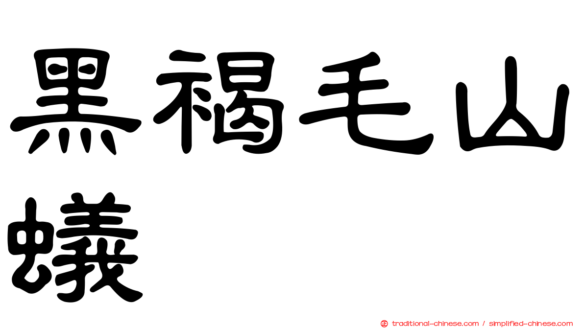 黑褐毛山蟻