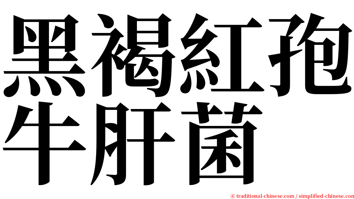 黑褐紅孢牛肝菌 serif font
