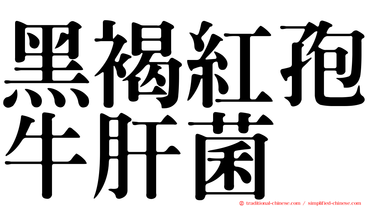 黑褐紅孢牛肝菌