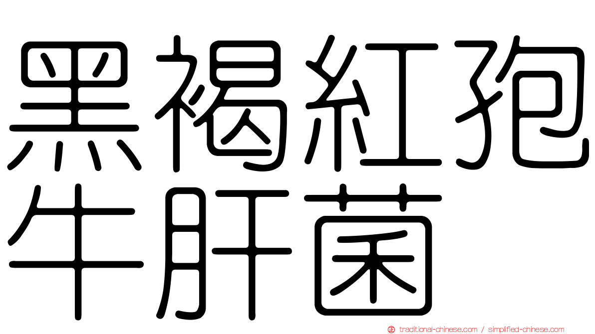 黑褐紅孢牛肝菌