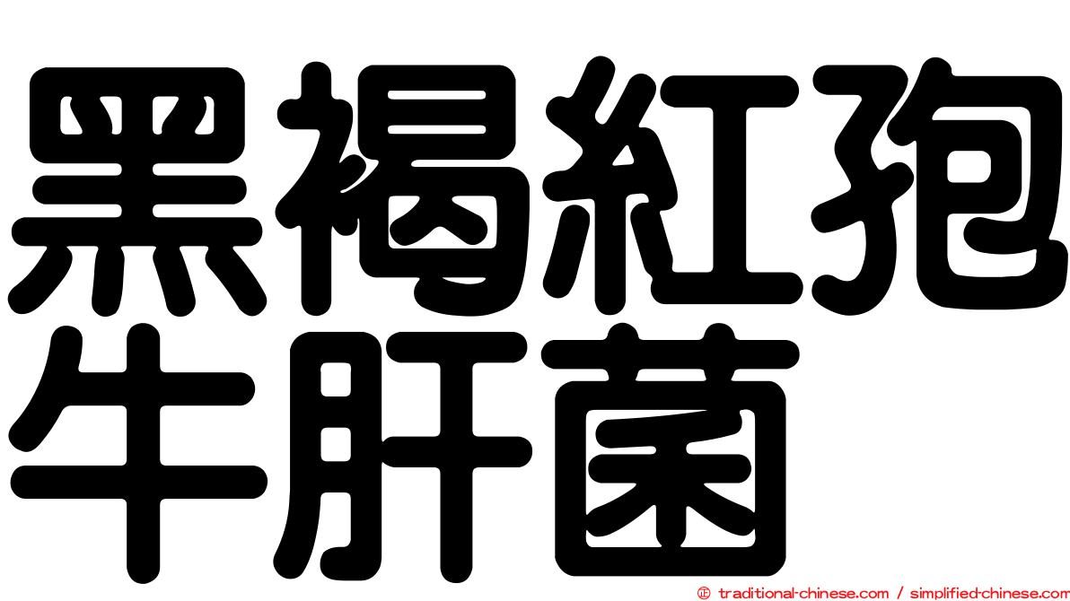 黑褐紅孢牛肝菌