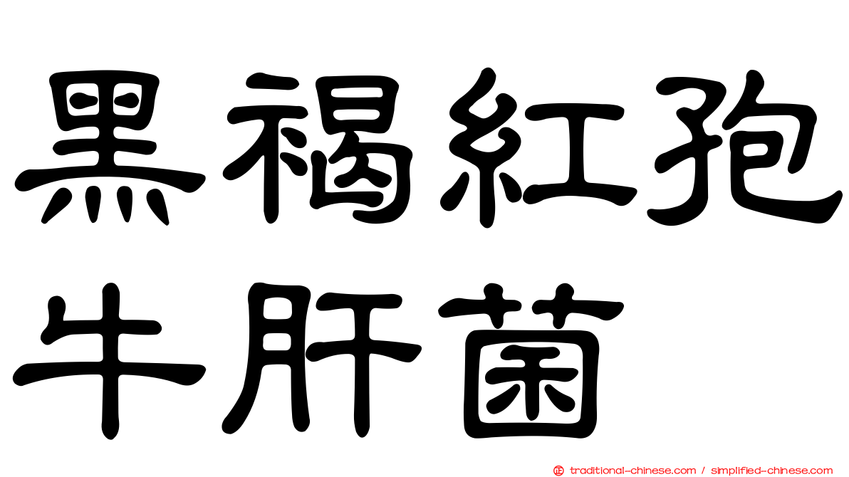 黑褐紅孢牛肝菌