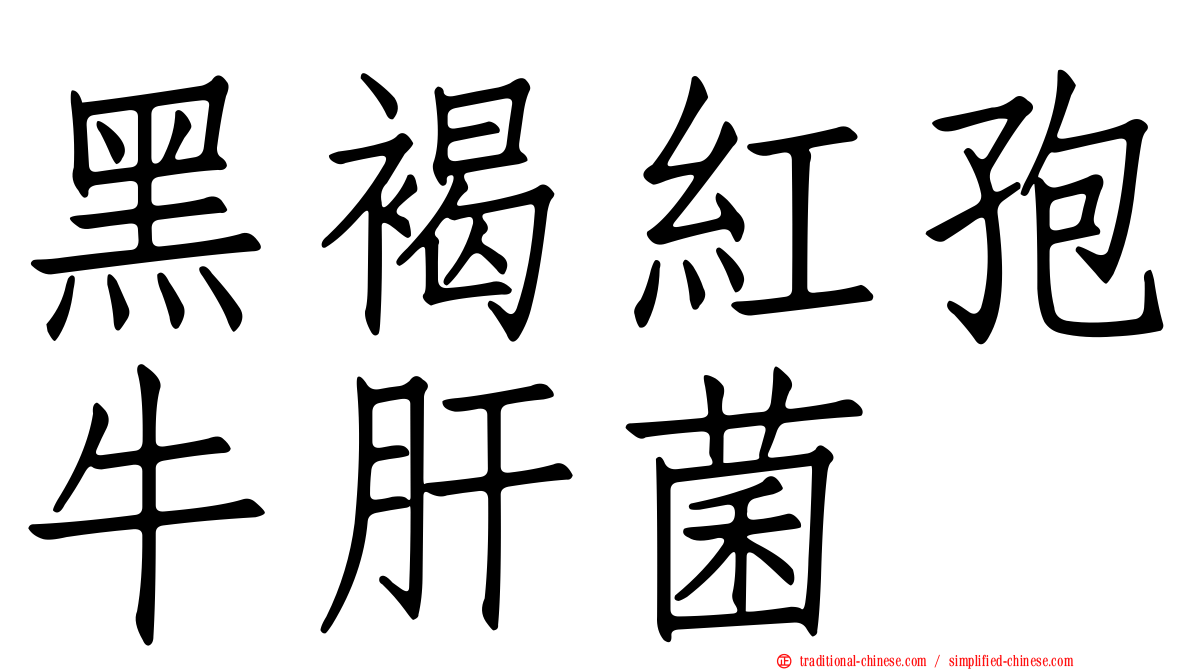 黑褐紅孢牛肝菌