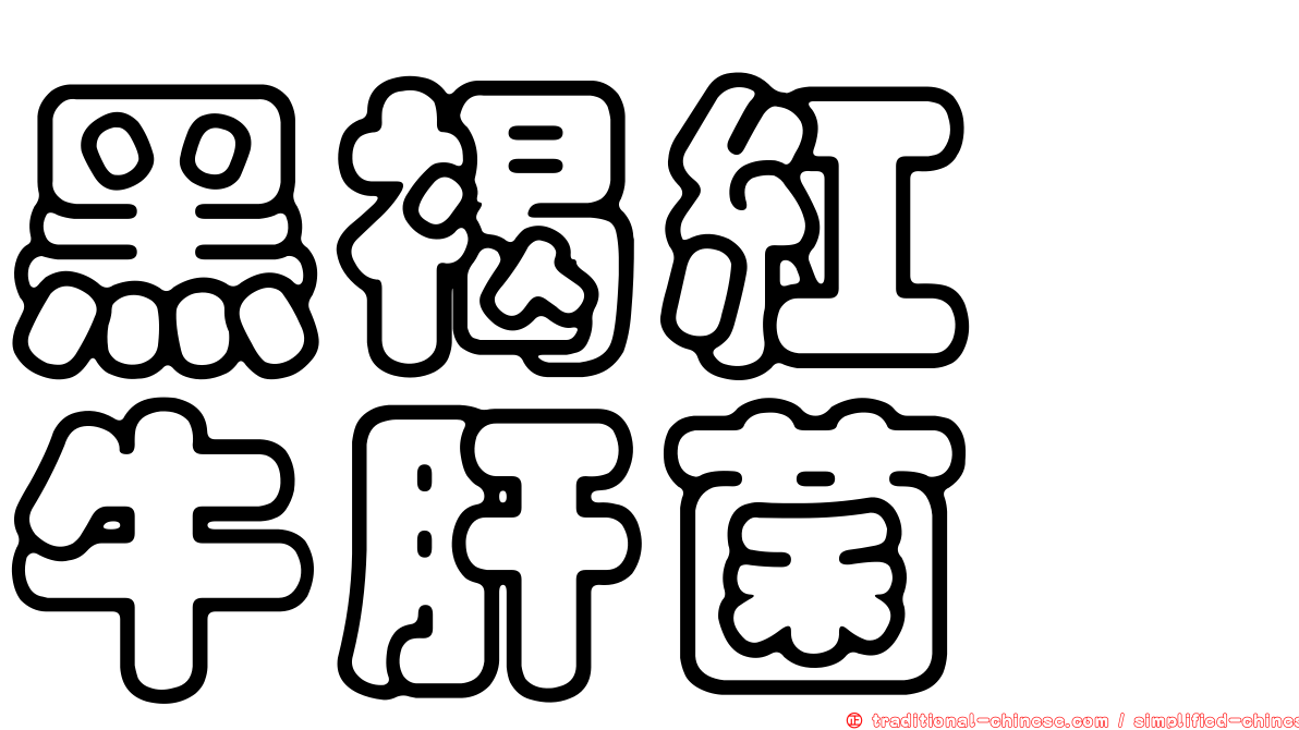 黑褐紅孢牛肝菌