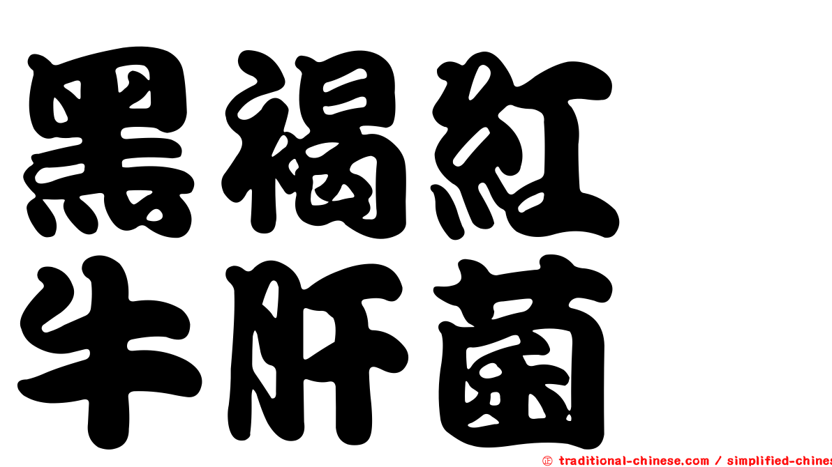 黑褐紅孢牛肝菌