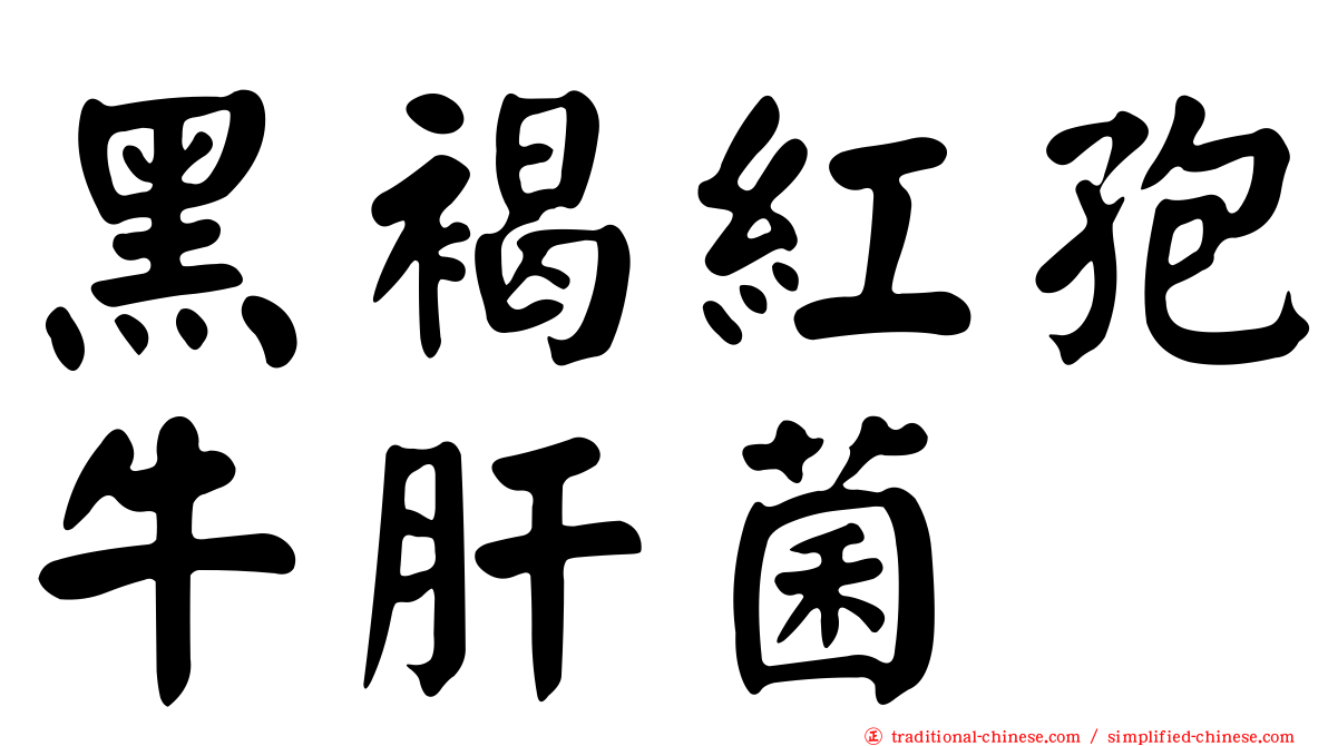 黑褐紅孢牛肝菌