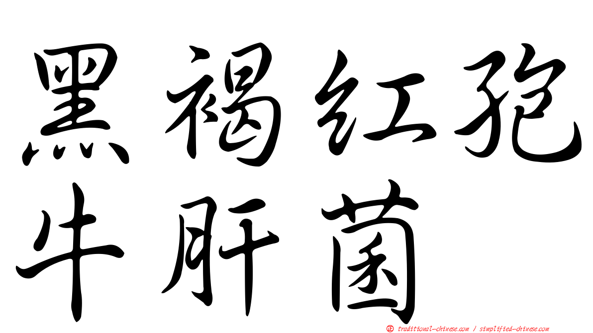 黑褐紅孢牛肝菌