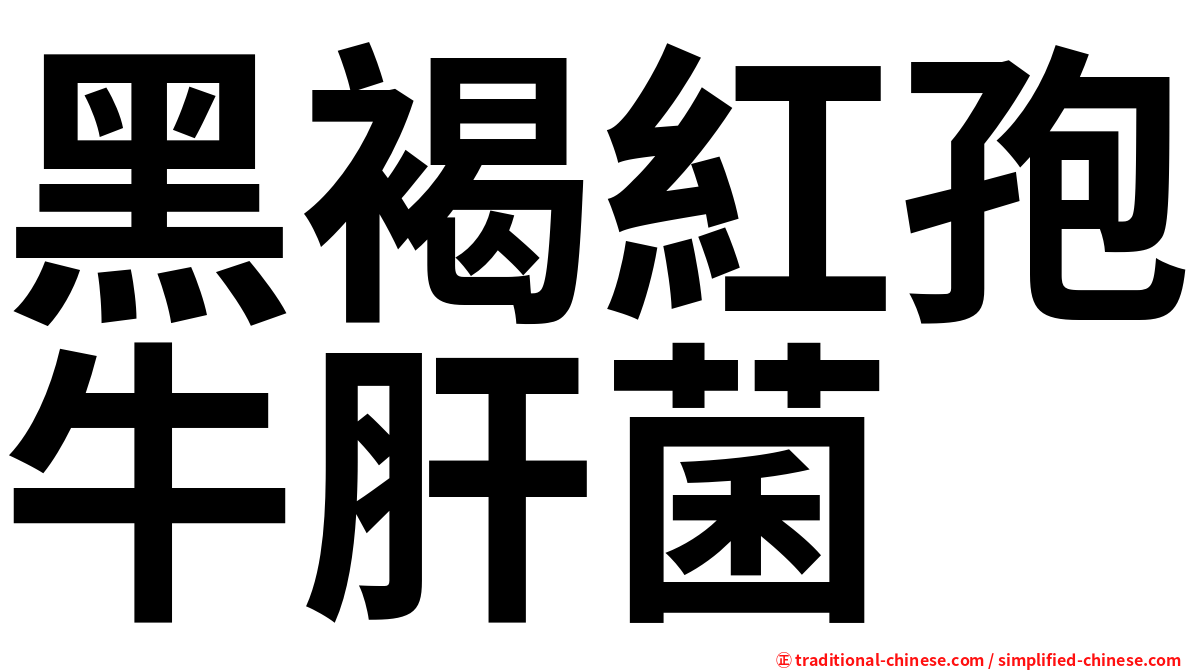 黑褐紅孢牛肝菌