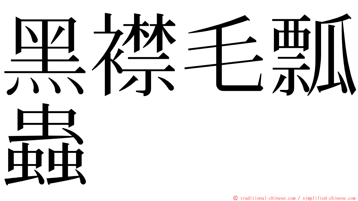 黑襟毛瓢蟲 ming font