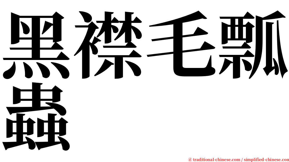 黑襟毛瓢蟲 serif font