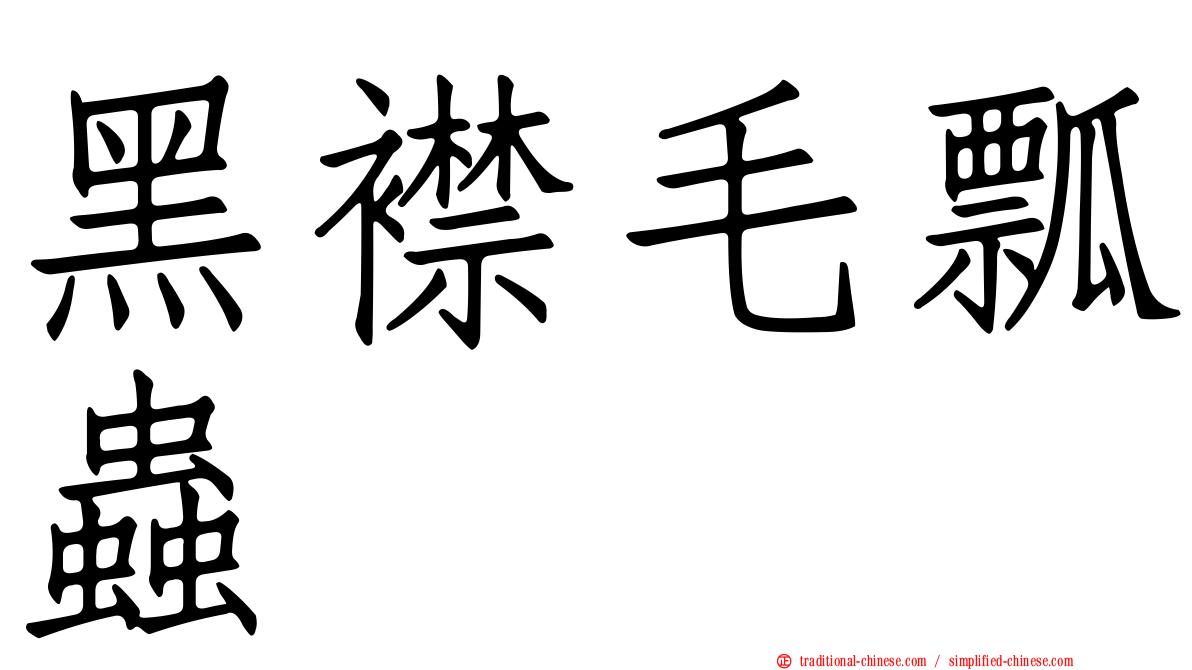 黑襟毛瓢蟲
